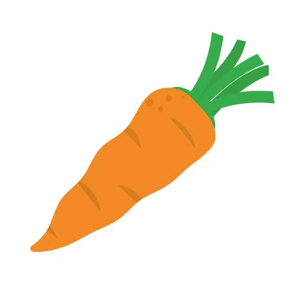 Karotten Gurken Symbol Auf Weißem Hintergrund — Stockvektor