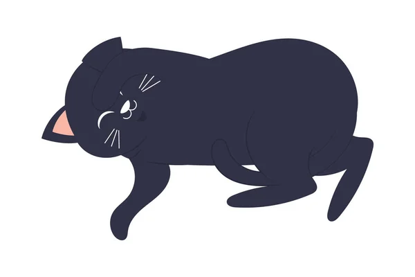 Black Cozy Cat White Background — Stock Vector