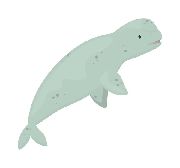 Cute Beluga Icon White Background — Stock Vector