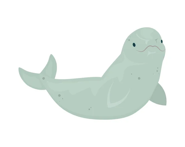 Cute Beluga Whale White Background — Stock Vector