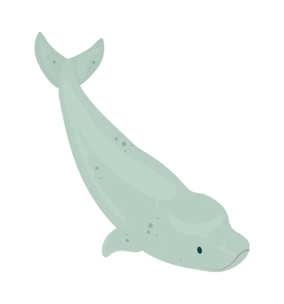 Cute Beluga Whale White Background — Stock Vector