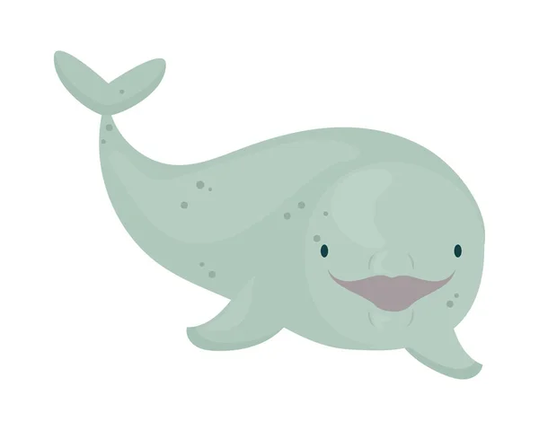 Beluga Whale White Background — Stock Vector