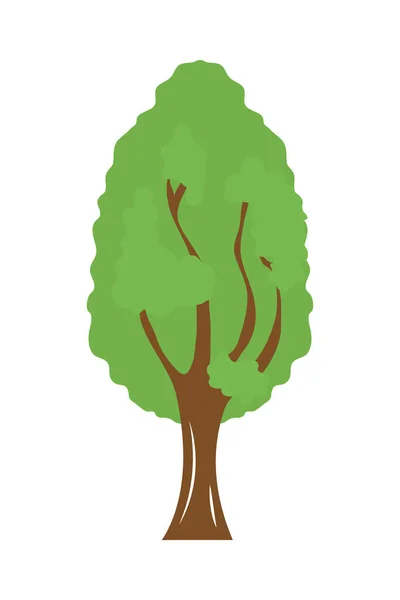 Stor Träd Ikon Vit Bakgrund — Stock vektor