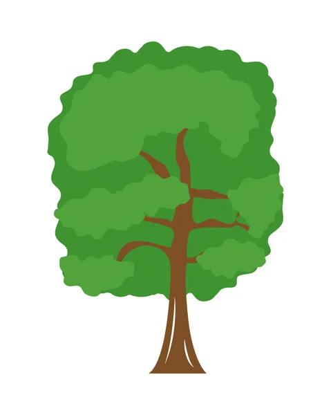 Εικονίδιο Του Φυλλώδους Δέντρου Λευκό Φόντο — Διανυσματικό Αρχείο