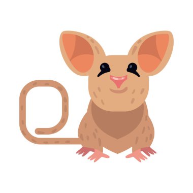 düz Avustralya Quoll beyaz üzerine