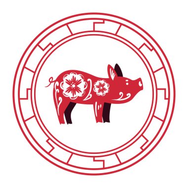 Düz Çin domuzu beyazın üstünde