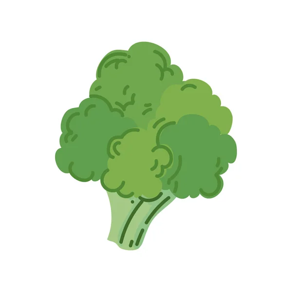 Disegno Broccoli Colorati Bianco — Vettoriale Stock
