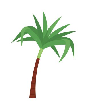 Beyaz arkaplanda lohri şeker kamışı