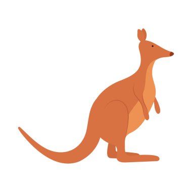 Kanguru hayvan yassı ikonu izole edildi