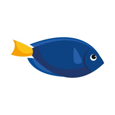 mavi balık simgesi izole edilmiş