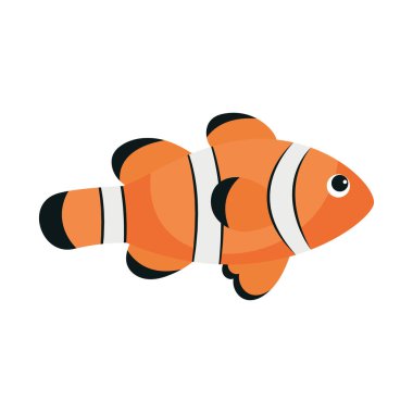palyaço balığı doğa simgesi izole edilmiş stil