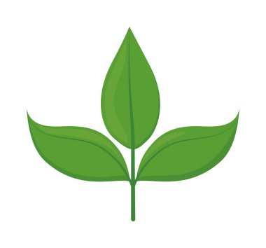 Beyaz arkaplanda tropik yeşil yapraklar