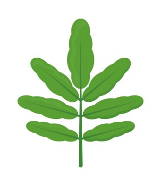 Beyaz arkaplanda tropikal yaprak