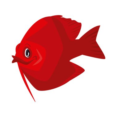 beyazı kırmızı balığa tercih ederim