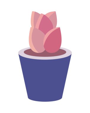 Düz gül saksısı beyaz üzerine