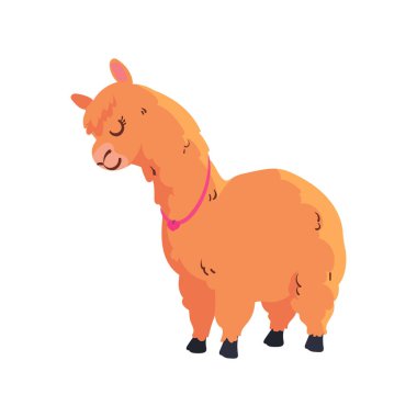 Beyaz yerine sevimli lama tasarımı