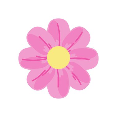 Pembe parlak çiçek beyaz üzerine