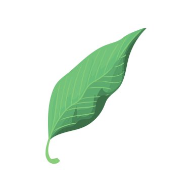 Beyaz yerine yeşil yaprak tasarımı