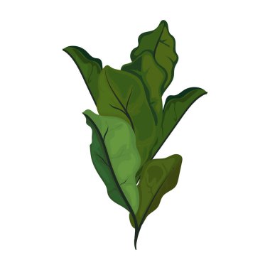 yeşil yapraklar beyaz üzerine dizayn