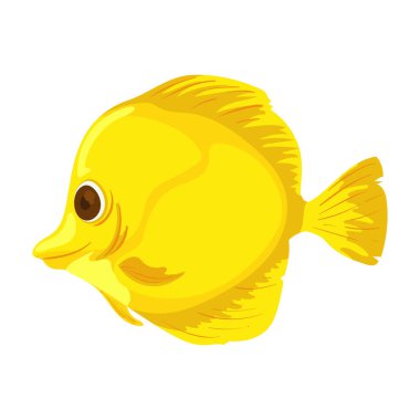 Beyaz yerine sarı balık tasarımı