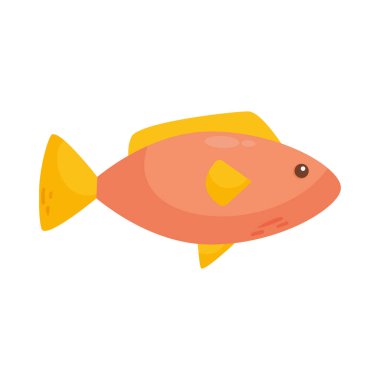 cute fish icon on white background