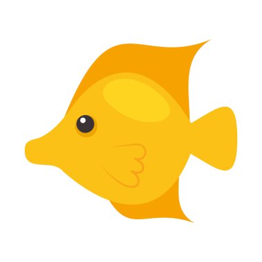 Beyaz arka planda tatlı altın balıklar