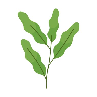 Beyaz arkaplanda yaprakları olan kök