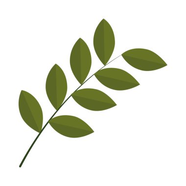 Beyaz arkaplanda yaprakları olan dal