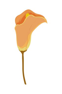 yellow rose design over white