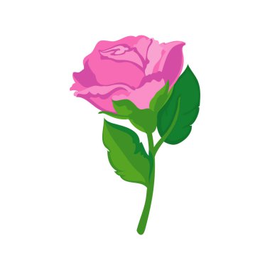 Beyaz yerine pembe gül tasarımı