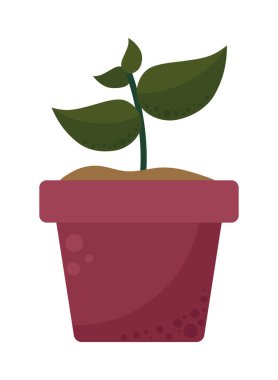 saksı bitkisi doğa simgesi