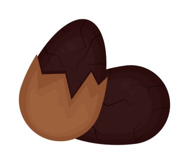 cocoa almonds seeds nature icon