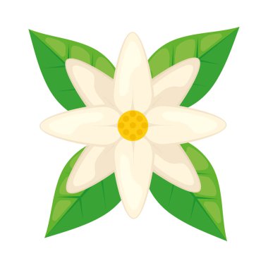 white exotic flower nature icon