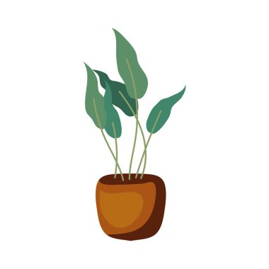 plant pot design over white