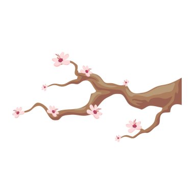 sakura flower tree over white