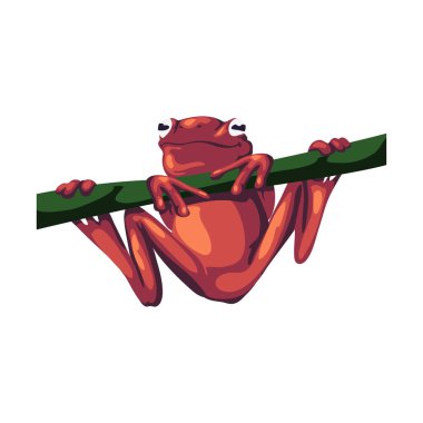 red frog design over white