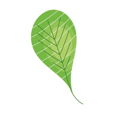 oval leaf plant foliage nature icon