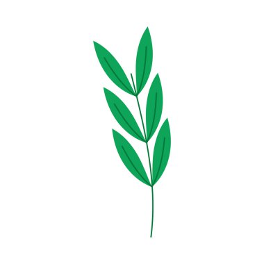 Yeşil yapraklı bir dal.