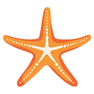 exotic starfish sealife animal icon
