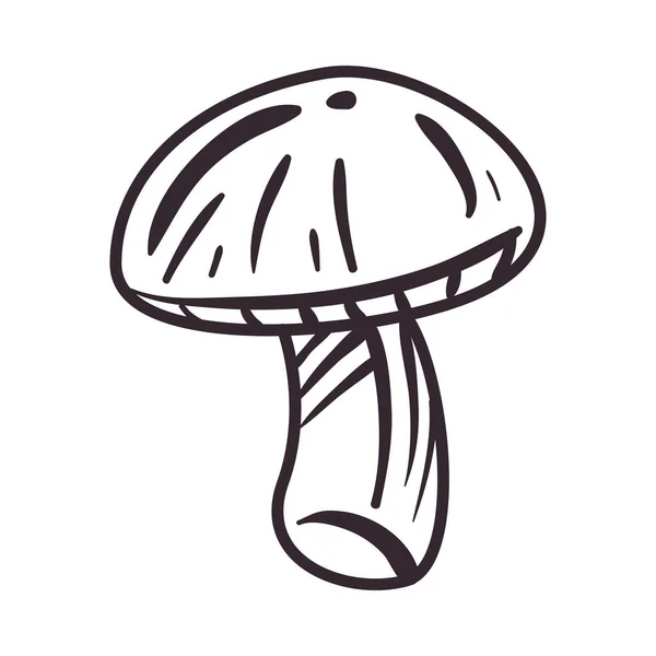 白色上的扁平蘑菇设计 — 图库矢量图片