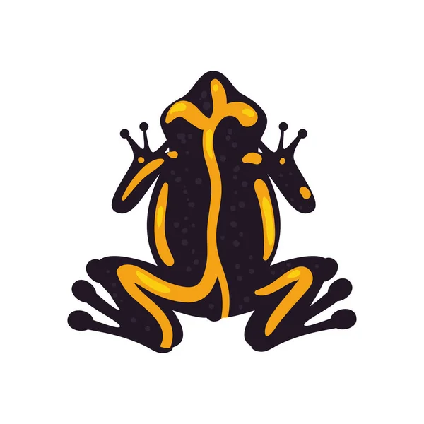 Żaba Żółta Płaska Nad Białym — Wektor stockowy