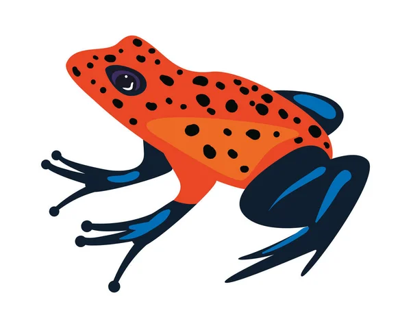 扁平的橙色青蛙盖在白色上面 — 图库矢量图片