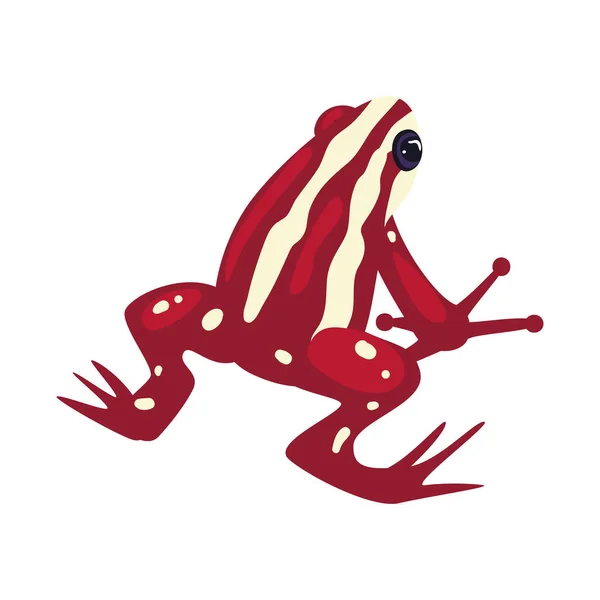 平坦的红色青蛙盖在白色的上面 — 图库矢量图片