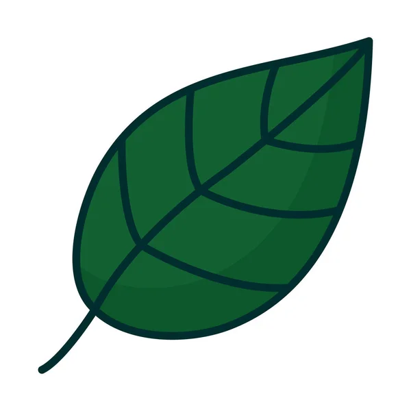 Leaf Plant Foliage Nature Icon — Stockový vektor