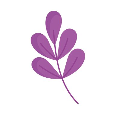 purple branch with leafs foliage