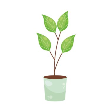 saksı bitkisi doğa simgesi