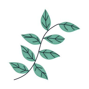 Yaprak yaprağı simgesine sahip dal