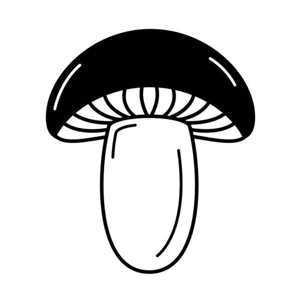 新鲜蘑菇蔬菜健康食品 — 图库矢量图片