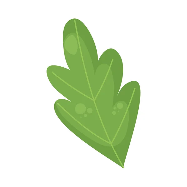 Leaf Plant Foliage Nature Icon — Image vectorielle