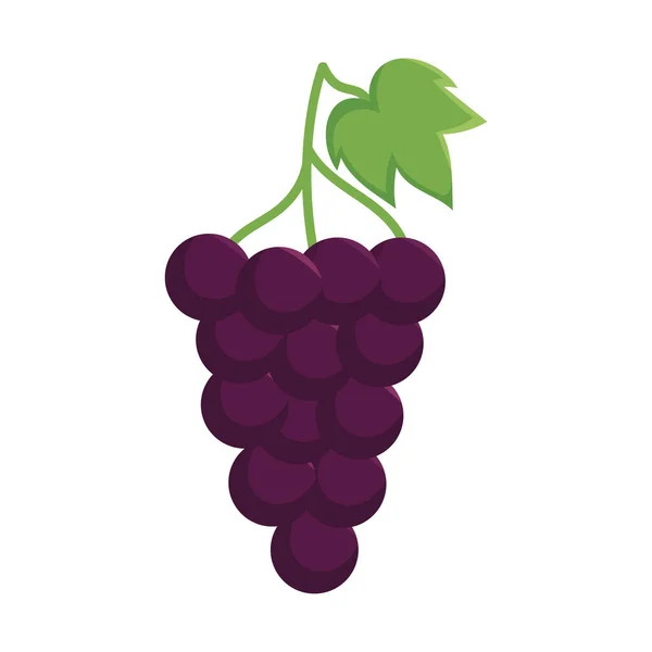 Fresh Grapes Fruit Healthy Icon — ストックベクタ
